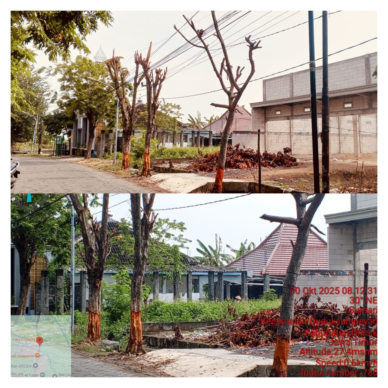 Warga Dusun Sumari Siap Berikan Sanksi Sebesar Apapun Terkait Pohon Yang di Rusak