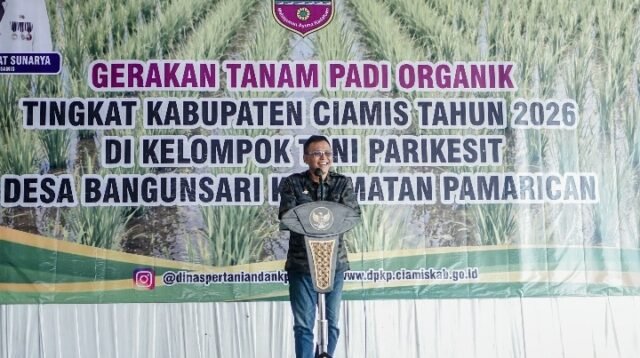 ba461128-073f-441c-8cd7-eed4b8e20ec9