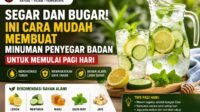 Segar dan Bugar! Ini Cara Mudah Membuat Minuman Penyegar Badan untuk Memulai Pagi Hari