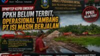 DPMPTSP Kepri Ungkap PPKH Belum Terbit, Operasional Tambang PT ISI Masih Berjalan