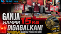 Ganja Hampir 15 Kg Digagalkan! Polres Cianjur Selamatkan Puluhan Ribu Warga dari Ancaman Narkoba