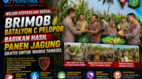 Wujud Kepedulian Sosial, Brimob Batalyon C Pelopor Bagikan Hasil Panen Jagung Gratis untuk Warga Tangsel