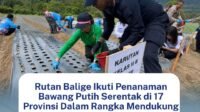 FB_IMG_1787144642132