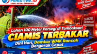 Lahan 100 Meter Persegi di Tambaksari Ciamis Terbakar Dini Hari, Damkar WMK Rancah Bergerak Cepat