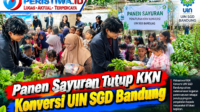 Panen Sayuran Tutup KKN Konversi UIN SGD Bandung